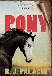 Pony Read online