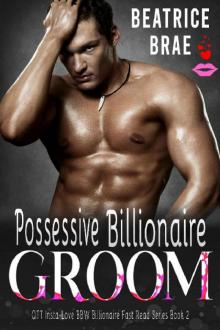 Possessive Billionaire Groom Read online
