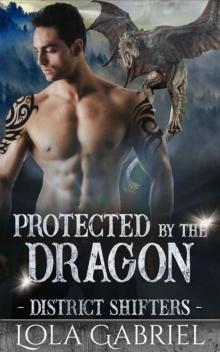 Protected By The Dragon (District Shifters Book 4)