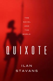 Quixote Read online