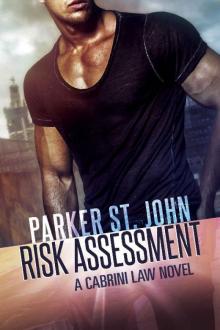Risk Assessment Read online
