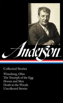 Sherwood Anderson: Collected Stories Read online