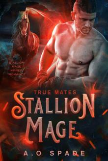 Stallion Mage: True Mates: Mpreg Romance Read online