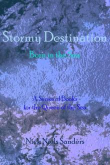 Stormy Destination Read online