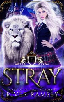 Stray: A Shifter Academy Romance (Cats of Felidae Academy Book 1) Read online