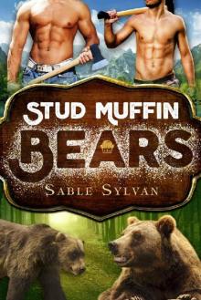 Stud Muffin Bears (Freshly Baked Furry Tails Book 1) Read online