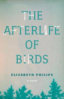The Afterlife of Birds Read online