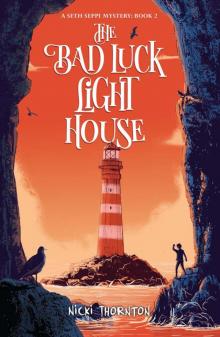 The Bad Luck Lighthouse Read online