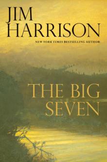 The Big Seven Read online