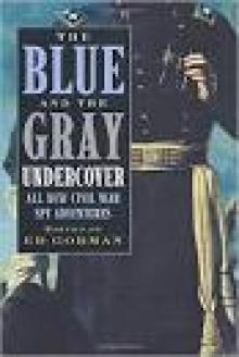 The Blue and the Gray Undercover Read online