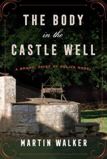The Body in the Castle Well Read online