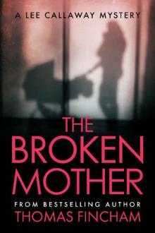 The Broken Mother Read online