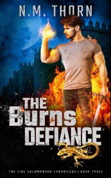 The Burns Defiance Read online