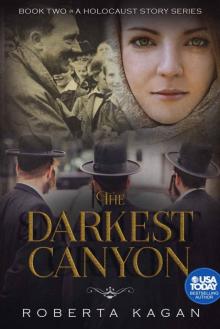 The Darkest Canyon Read online