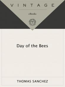 The Day of the Bees Read online