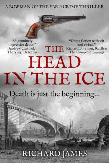 The Head in the Ice Read online