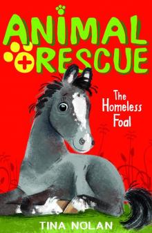 The Homeless Foal Read online