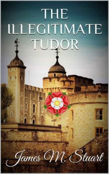 The Illegitimate Tudor