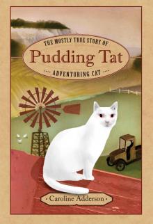 The Mostly True Story of Pudding Tat, Adventuring Cat Read online