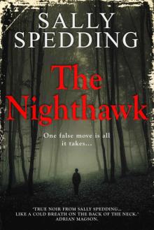The Nighthawk Read online