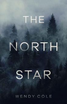 The North Star Read online