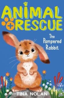 The Pampered Rabbit Read online