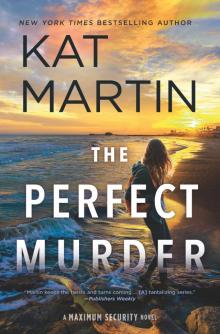 The Perfect Murder--A Novel Read online