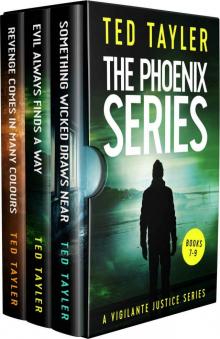 The Phoenix Series Box Set 3 Read online