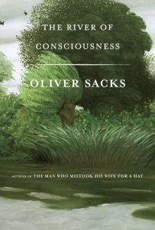 The River of Consciousness Read online