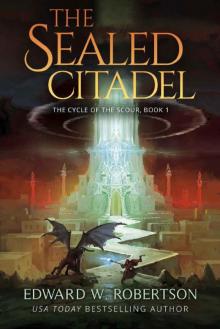 The Sealed Citadel Read online