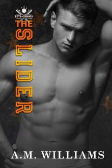 The Slider (Boys of Summer Book 5) Read online
