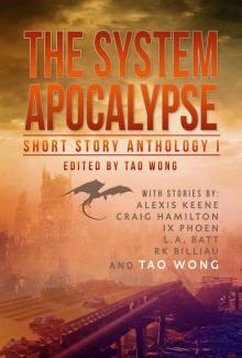 The System Apocalypse Short Story Anthology Volume 1: A LitRPG post-apocalyptic fantasy and science fiction anthology Read online