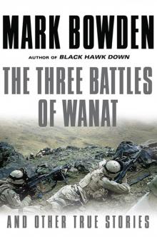 The Three Battles of Wanat Read online