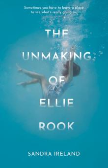 The Unmaking of Ellie Rook Read online