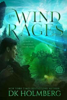 The Wind Rages (Elemental Academy Book 4)