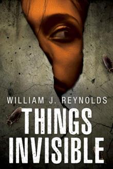Things Invisible (A Nebraska Mystery Book 4) Read online