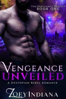 Vengeance Unveiled Read online