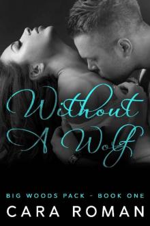 Without A Wolf (A Big Woods Pack Novel Book 1) Read online