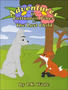 Adventures in Cottontail Pines - The Lost Child Read online