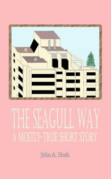 The Seagull Way: A Mostly-True Short Story Read online