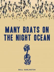 Many Boats on the Night Ocean Read online