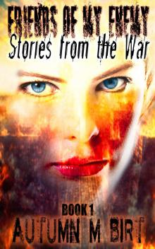 Stories from the War: Military Dystopian Thriller Read online
