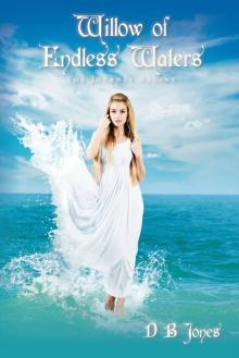 Willow of Endless Waters the Journey Begins Read online