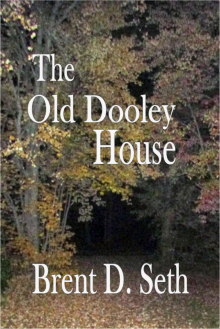 The Old Dooley House Read online