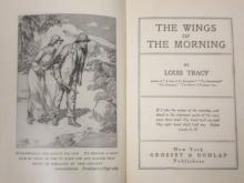 The Wings of the Morning Read online
