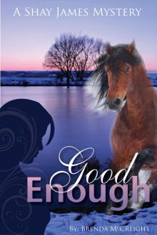 Good Enough:   A Shay James Mystery Read online