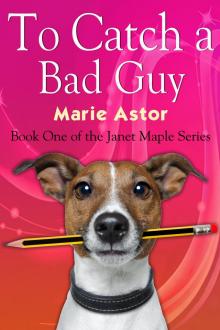 To Catch a Bad Guy (Book One of the Janet Maple Series) Read online