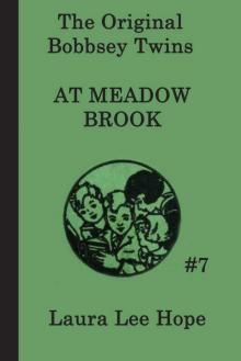 The Bobbsey Twins at Meadow Brook Read online