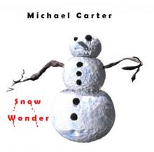 Snow Wonder Read online