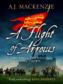 A Flight of Arrows Read online